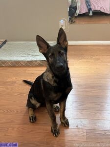 Cyber Softy exclusive onlyfans leaked nudes