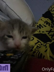 peachynezz7 exclusive onlyfans leaked nudes