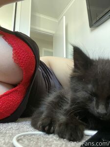 bunniemai1591 exclusive onlyfans leaked nudes