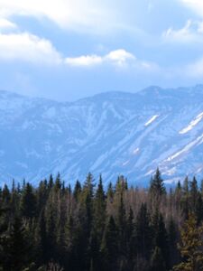 ciciastral exclusive onlyfans leaked nudes