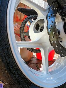 lil_hanne exclusive onlyfans leaked nudes