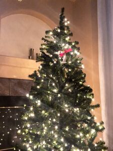 jaydencole new hot onlyfans leaked nudes