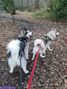 charlieerose3 exclusive onlyfans leaked nudes