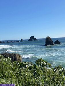 Siegex new hot onlyfans leaked nudes