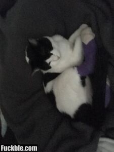 aidrafox new hot onlyfans leaked nudes