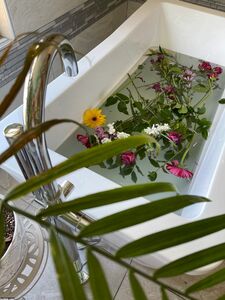 Anna Blossom aka annablossom exclusive onlyfans leaked nudes