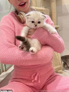 Kenzie reeves new hot onlyfans leaked nudes