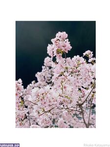 Mira aka heyhorny hot onlyfans leaked nude