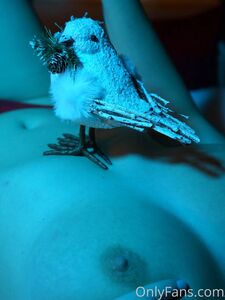 Blakeblossomxxx new hot onlyfans leaked nudes