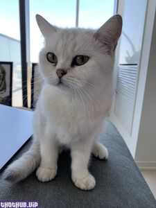 imnotlaika new hot onlyfans leaked nudes