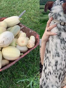 holly wolf new hot onlyfans leaked nudes