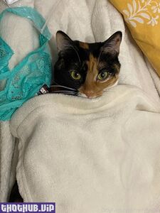 merylsama new hot onlyfans leaked nudes