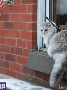 onlyisla new hot onlyfans leaked nudes