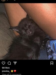 jxlxnha new hot onlyfans leaked nudes