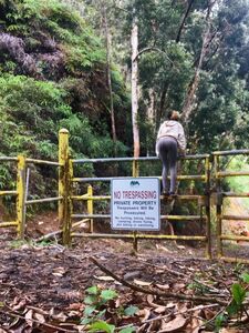 ava fae new hot onlyfans leaked nudes