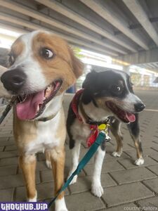 courtney taylor new hot onlyfans leaked nudes