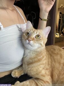 Arisa Asmr Deerlong new hot onlyfans leaked nudes