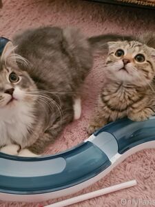 nicolebun onlyfans leaks nude photos and videos