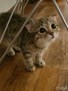 nicolebun onlyfans leaks nude photos and videos