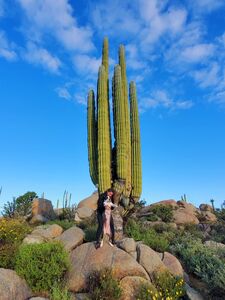 Kissa Sins onlyfans leaks nude photos