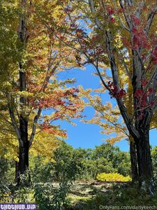 daisy keech onlyfans leaks nude photos