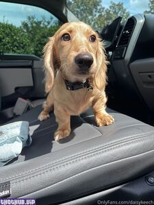 daisy keech onlyfans leaks nude photos