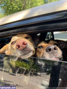 daisy keech onlyfans leaks nude photos