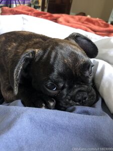 Emjayplays Onlyfans Leaks Latest Nude Photos