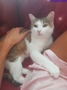 Flawlesseva26 Latest Onlyfans Premium Leaks