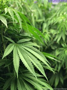 neptunenips Onlyfans Latest Nude Photo Leaks